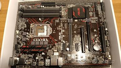 Asus Prime B250-Pro Scheda Madre