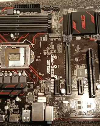 Asus Prime B250-Pro Scheda Madre