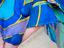 Immagine 6