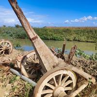 Ruote carro in legno