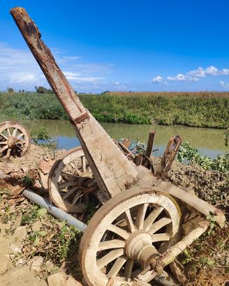 Ruote carro in legno