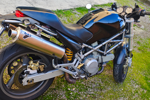 Ducati monster