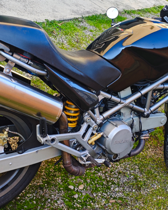 Ducati monster