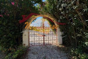 Villa singola f.bianche rif3037