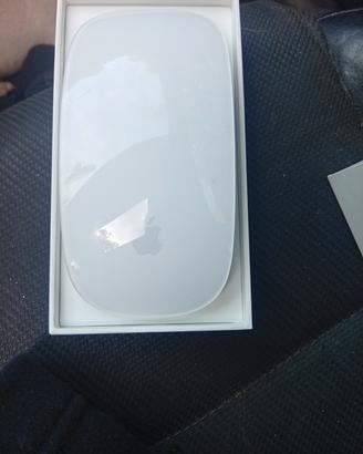 mouse