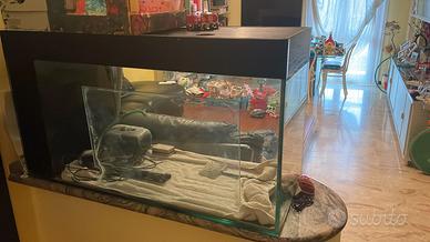 Acquario 150L Buone condizioni