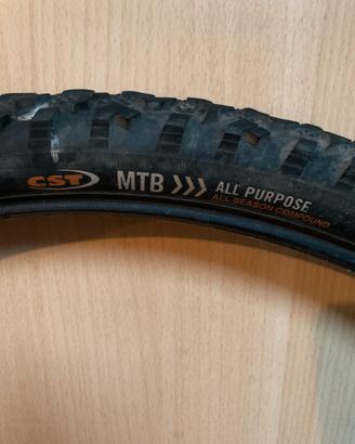 Pneumatico CST 26”