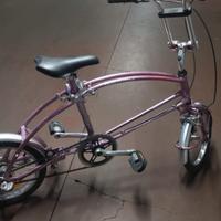 Bicicletta pieghevole Carnielli Bigfish