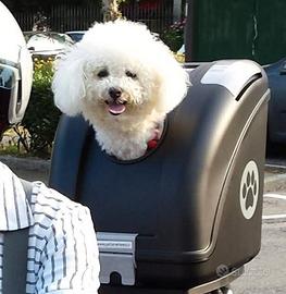 POW Pet Carrier Trasportino per Cani E Gatti