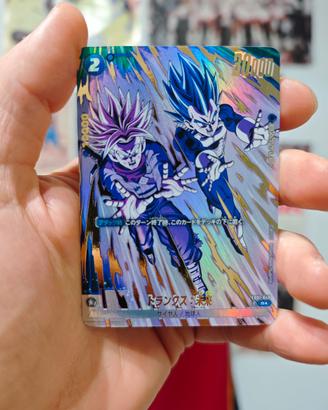 Trunks: Future FB01-049