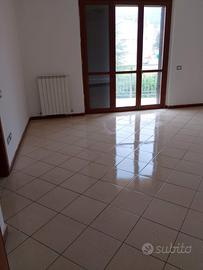 Luminoso e grande appartamento non ammobiliato