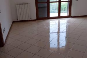 Luminoso e grande appartamento non ammobiliato