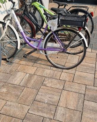 Biciclette da donna