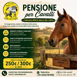 Pensione per il tuo cavallo