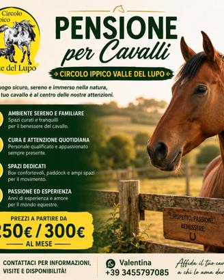 Pensione per il tuo cavallo