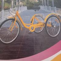  bicicletta 