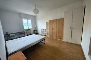Camera singola per studentessa in zona Saffi