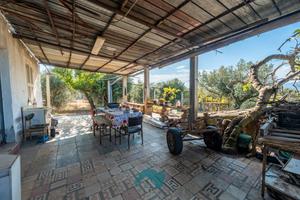 Gallicano nel lazio: unifamiliare con giardino