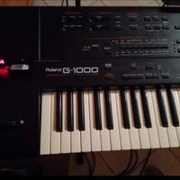 2 tastiere G1000 (Una OK e una per ricambi)