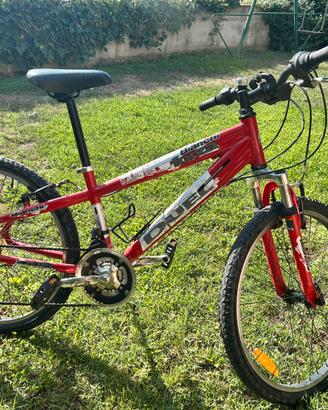 Bicicletta per bambini 12 anni