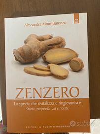 Zenzero la spezie