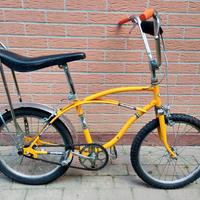 bicicletta salta foss