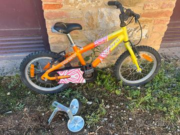 Bici mountain bike