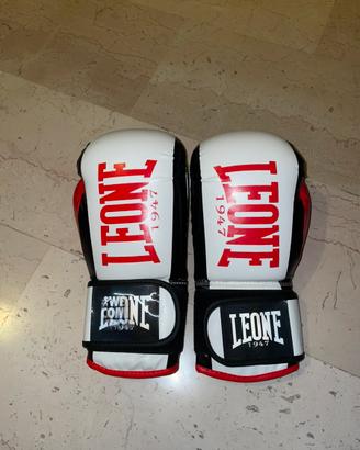 Guanti da Boxe