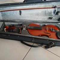  violino 