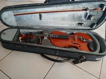  violino 
