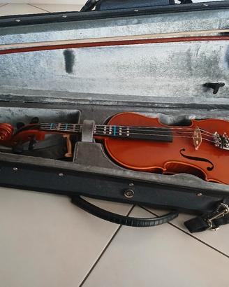  violino 