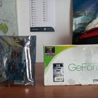 Scheda Grafica NVIDIA PNY DDR 2 512 MB