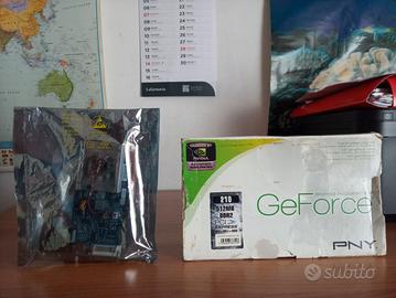 Scheda Grafica NVIDIA PNY DDR 2 512 MB