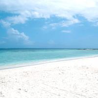 Mare Toscana 2026 Appartamento Villa