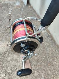 Canna  e mulinello Penn Senator.