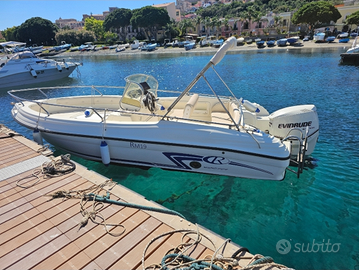 Ranieri Rancraft RM19