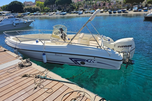 Ranieri Rancraft RM19