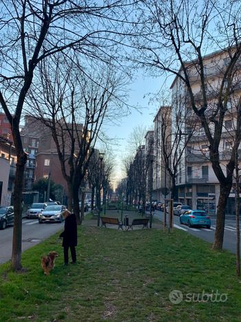 Appartamento Attico in viale Matteotti a Sesto S.G