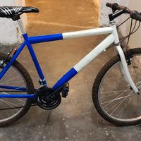 bicicletta taglia 26