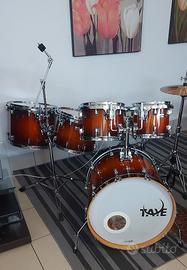 Taye Studio Maple