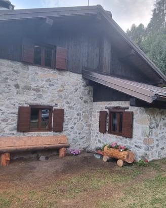 Casa vacanza La baita del falegname