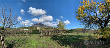 Ampio Terreno via Panoramica