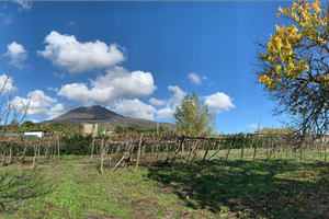 Ampio Terreno via Panoramica