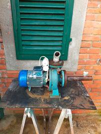 pompa acqua 