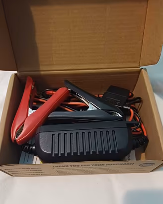 Manutentore batteria moto