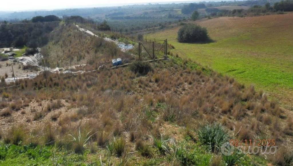 Immobile in asta di 46370 m² a Montescaglioso - Vista 2