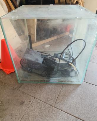acquario 30 litri