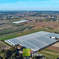 Azienda agricola 7 HA con serre e capannoni