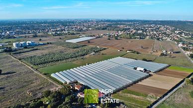 Azienda agricola 7 HA con serre e capannoni