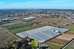 Azienda agricola 7 HA con serre e capannoni
